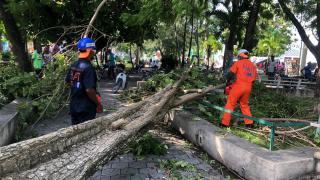 Civil Protection’s agents are clearing the roads, streets and public spaces after tropical storm Laura on 23 August – Haiti, 24/08/2020 by local Civil Protection (DGPC)